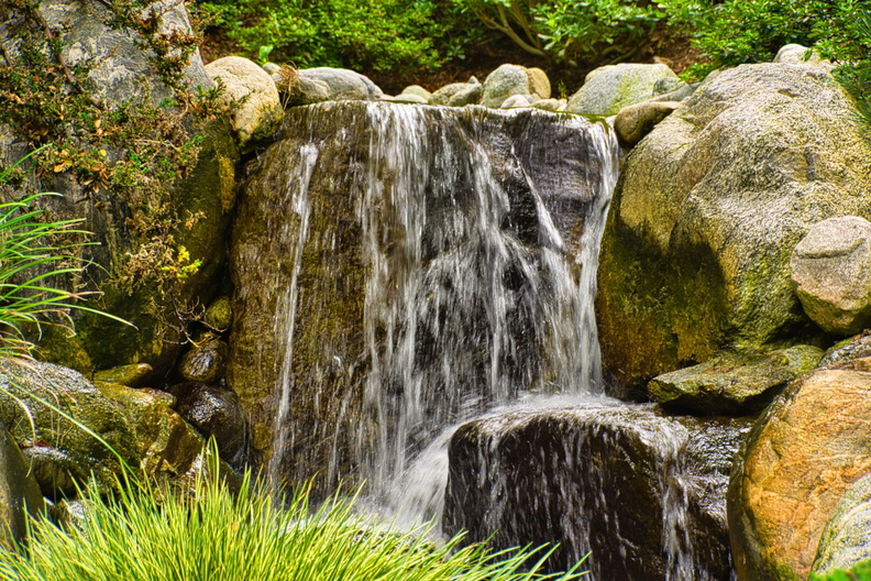IMGP7925.jpg
