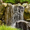 IMGP7925