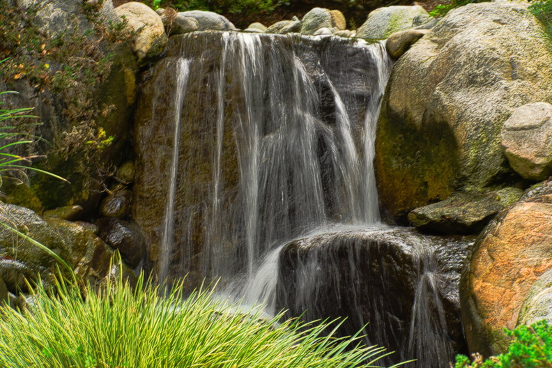 IMGP7926.jpg