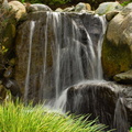 IMGP7926