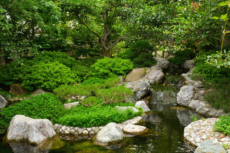 IMGP7913.jpg