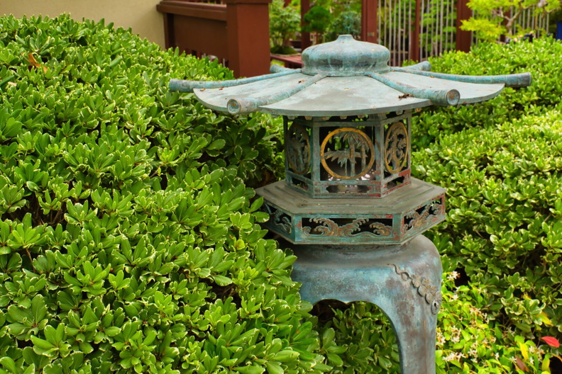 IMGP7917.jpg