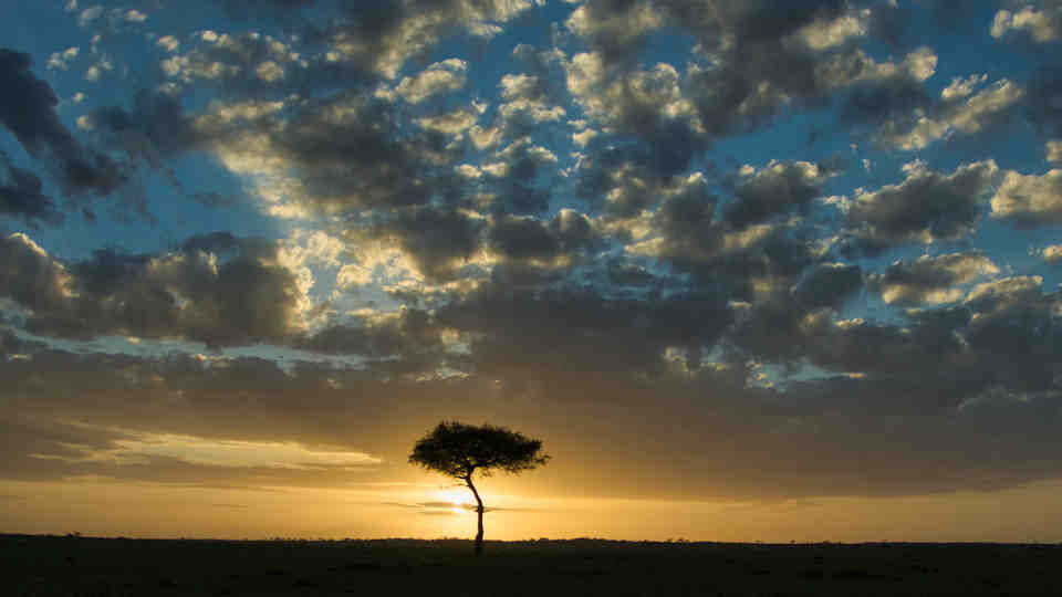 Amazing Grace, how sweet the sound…