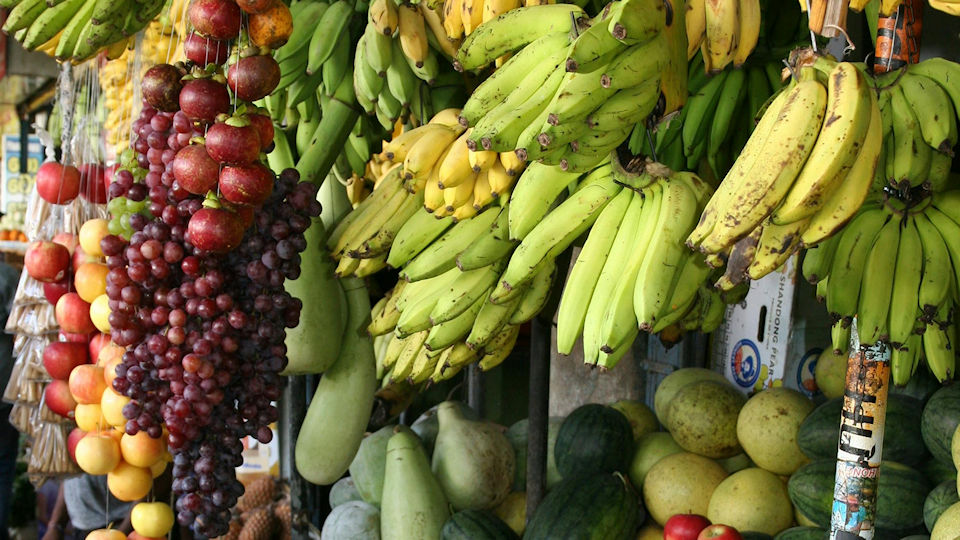 Patient Fruitfulness